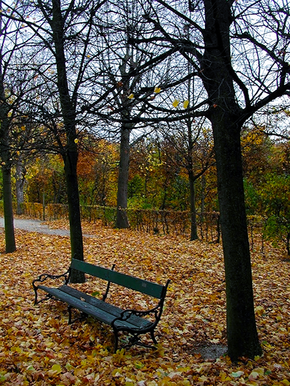 Robert Daseler: Büdenau in October