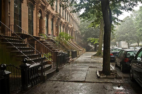 Jonah Raskin: Brooklyn in the Rain