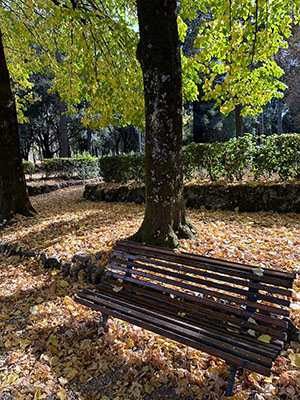 Photography by Robert Daseler