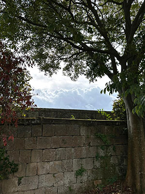 Photography by Robert Daseler